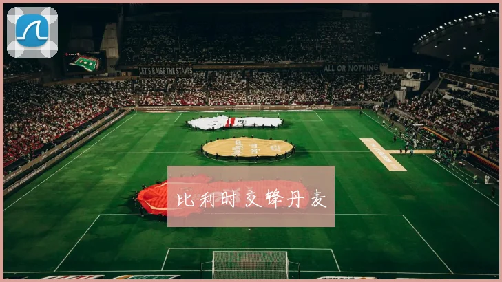 比利时交锋丹麦