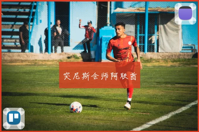 突尼斯会师阿联酋
