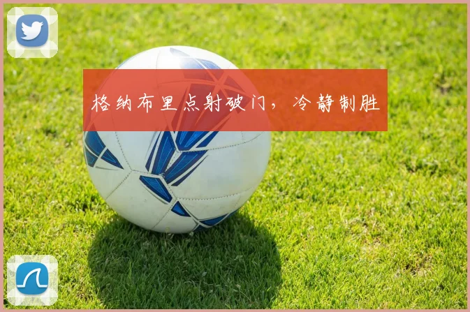 格纳布里点射破门，冷静制胜