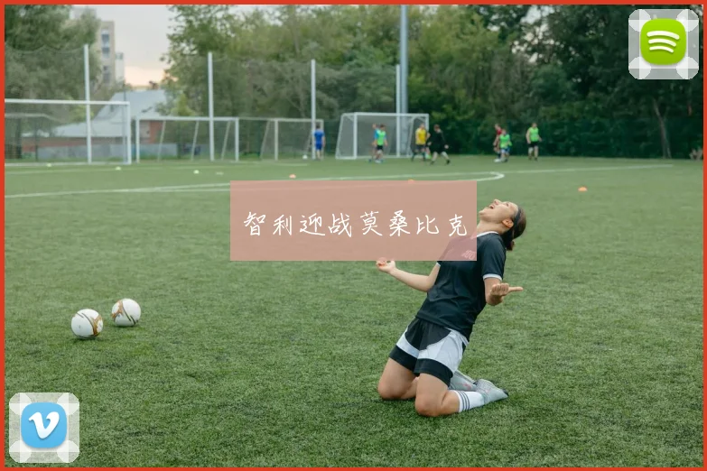 智利迎战莫桑比克