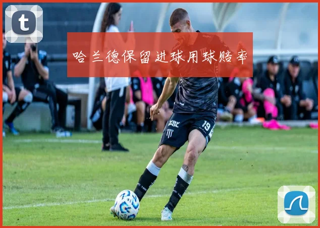 哈兰德保留进球用球赔率