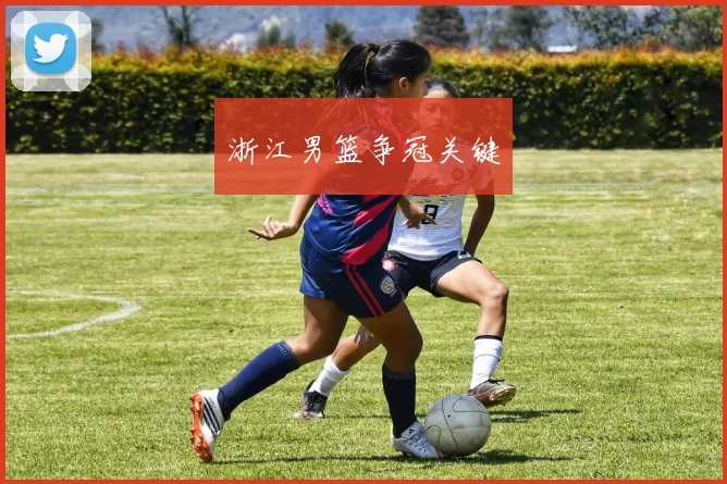 浙江男篮争冠关键