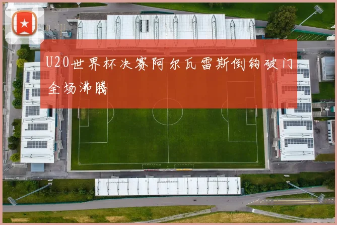 U20世界杯决赛阿尔瓦雷斯倒钩破门全场沸腾
