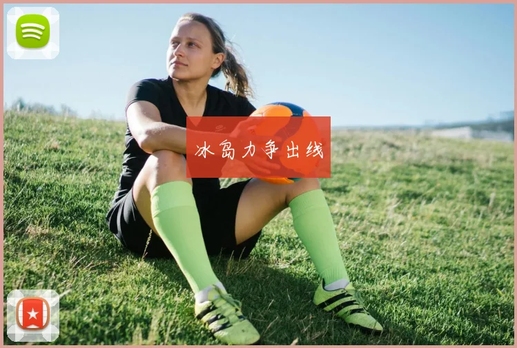 冰岛力争出线