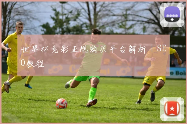 世界杯竞彩正规购买平台解析｜SEO教程
