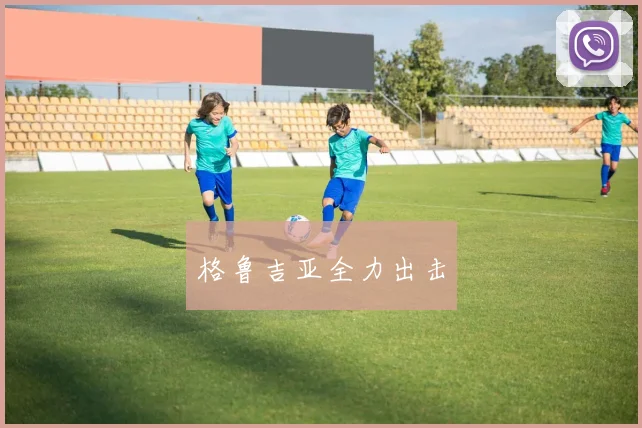 格鲁吉亚全力出击