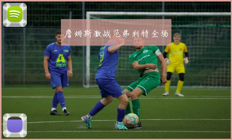 詹姆斯激战范弗利特全场