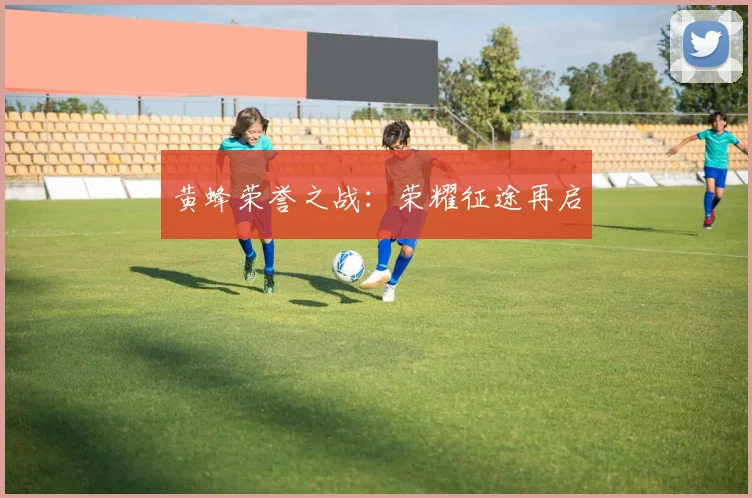 黄蜂荣誉之战：荣耀征途再启