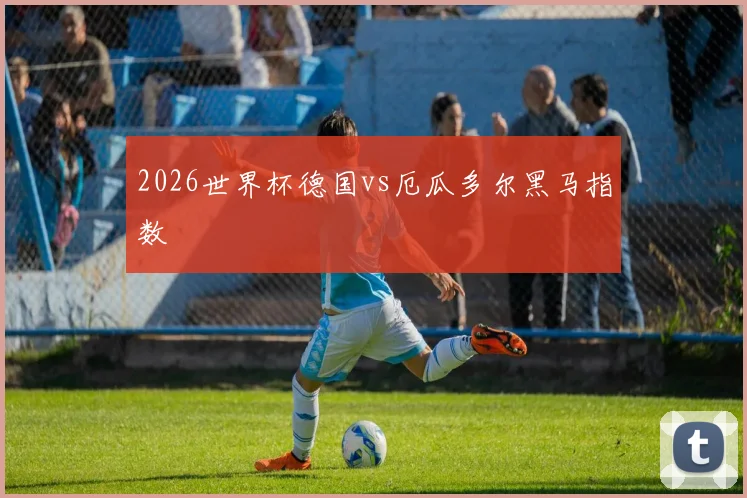 2026世界杯德国vs厄瓜多尔黑马指数