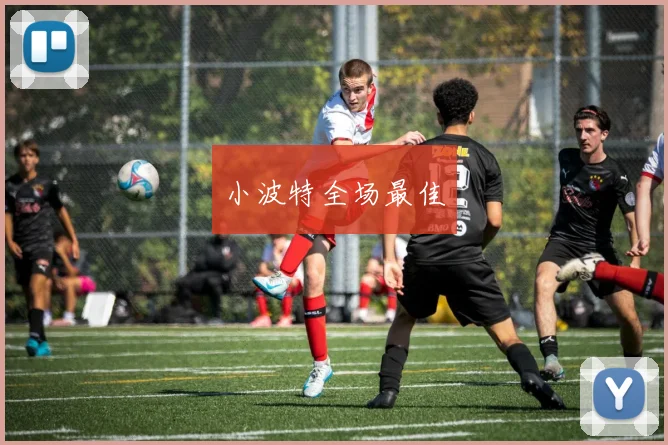 小波特全场最佳