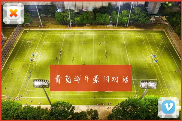 青岛海牛豪门对话