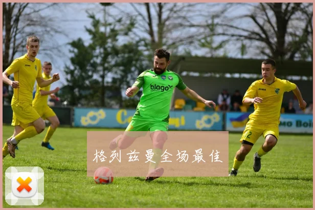 格列兹曼全场最佳