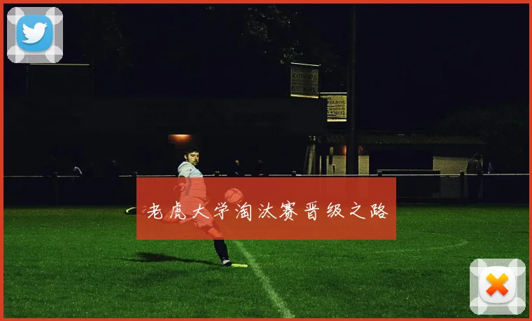 老虎大学淘汰赛晋级之路