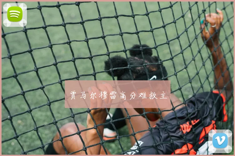 贾马尔穆雷高分难救主
