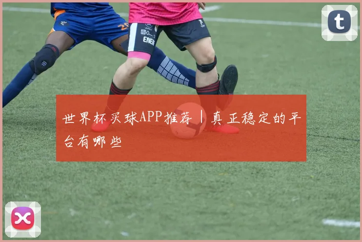 世界杯买球APP推荐｜真正稳定的平台有哪些