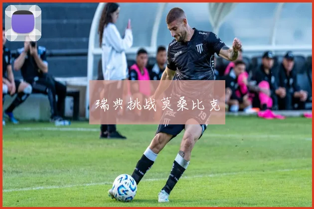 瑞典挑战莫桑比克