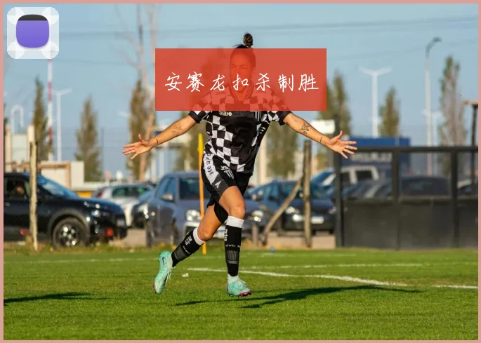 安赛龙扣杀制胜