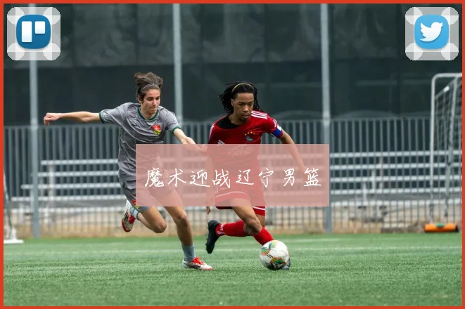 魔术迎战辽宁男篮