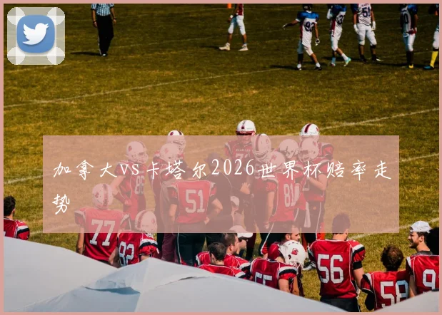 加拿大vs卡塔尔2026世界杯赔率走势
