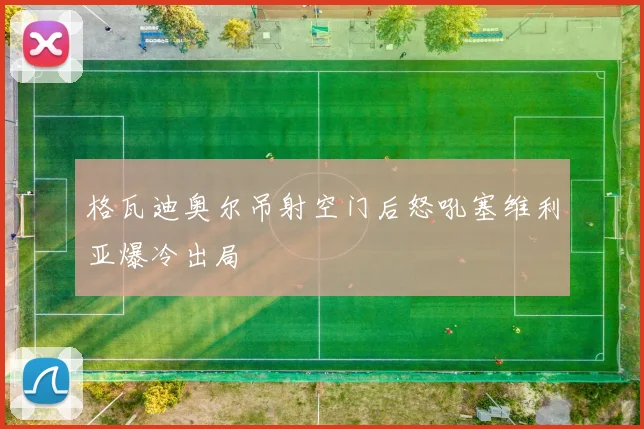 格瓦迪奥尔吊射空门后怒吼塞维利亚爆冷出局
