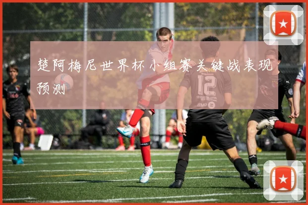 楚阿梅尼世界杯小组赛关键战表现预测