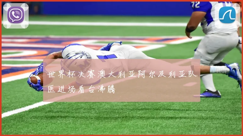 世界杯决赛澳大利亚阿尔及利亚队医进场看台沸腾
